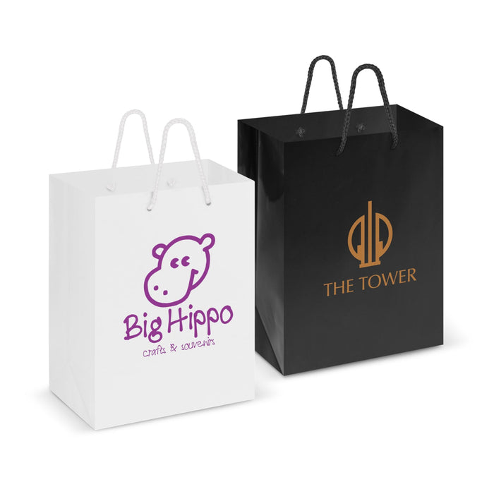 Laminate Paper Carry Bag - Medium