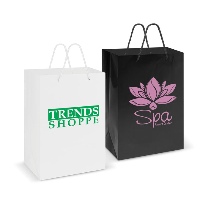 Laminate Paper Carry Bag - Large