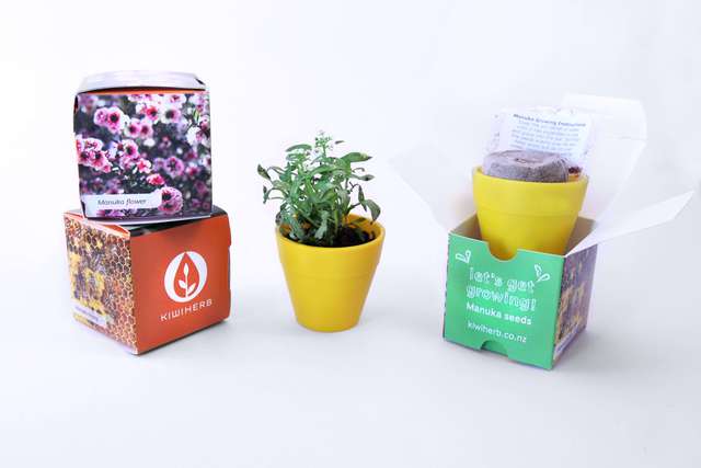 The Sprout Cube