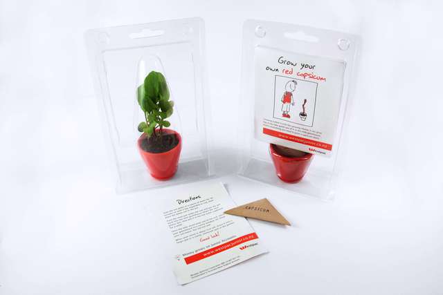 The Mini Greenhouse