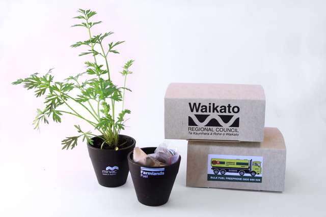 The Sprout Box